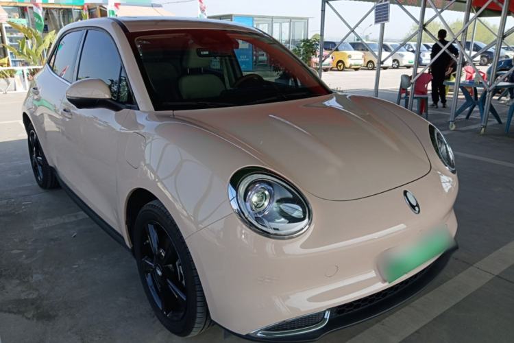Used ORA Good Cat 2024 401 km Luxury Version Exterior 1