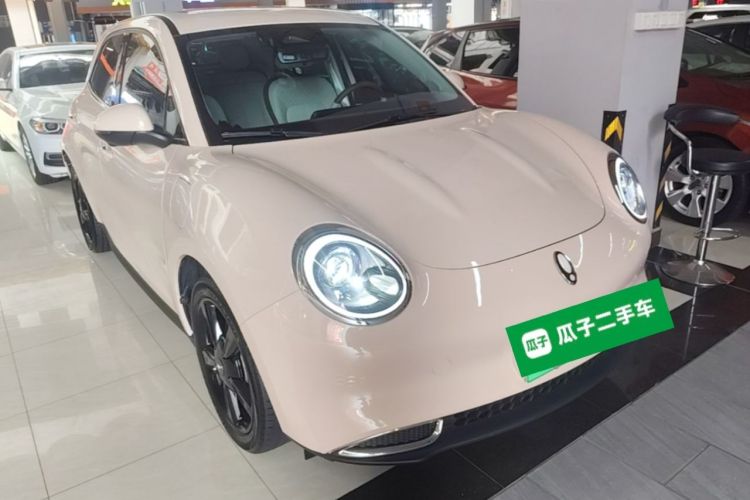 Used ORA Good Cat 2024 401 km Luxury Version Exterior 1