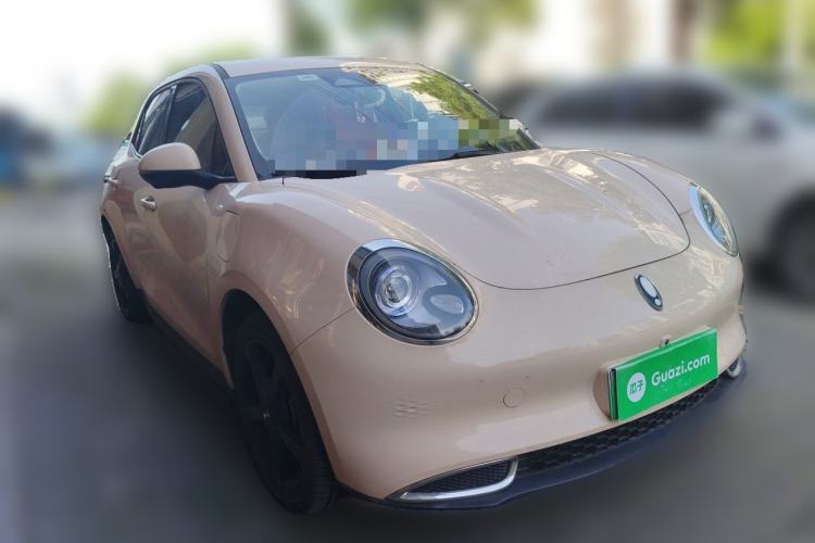 Used ORA Good Cat 2024 401 km Luxury Version Exterior 2