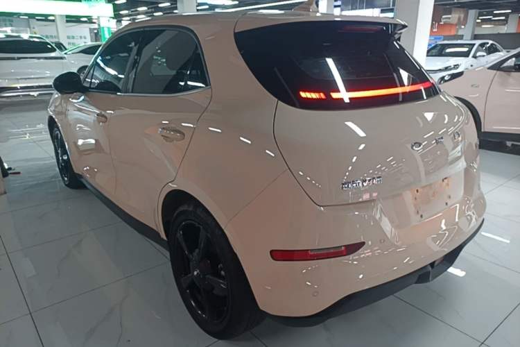 Used ORA Good Cat 2024 401 km Luxury Version Exterior 2