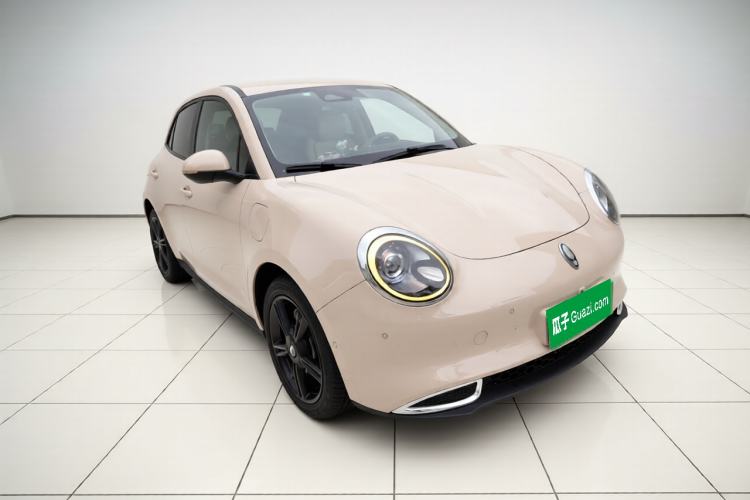 Used ORA Good Cat 2024 401 km Range Luxury Version 135 kW Exterior 2