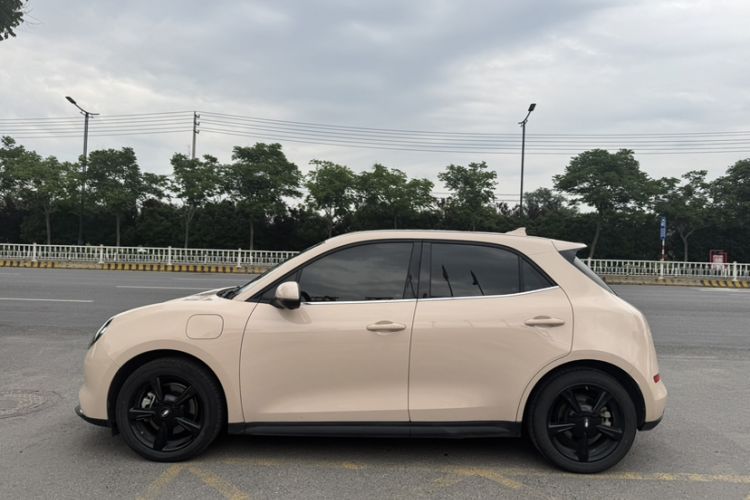 Used ORA Good Cat 2024 501 km Luxury Version Exterior 3