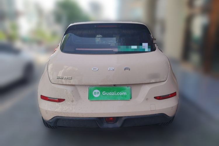 Used ORA Good Cat 2024 401 km Luxury Version Exterior 4
