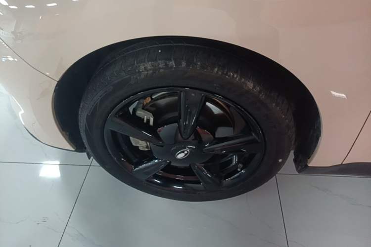 Used ORA Good Cat 2024 401 km Luxury Version Exterior 4
