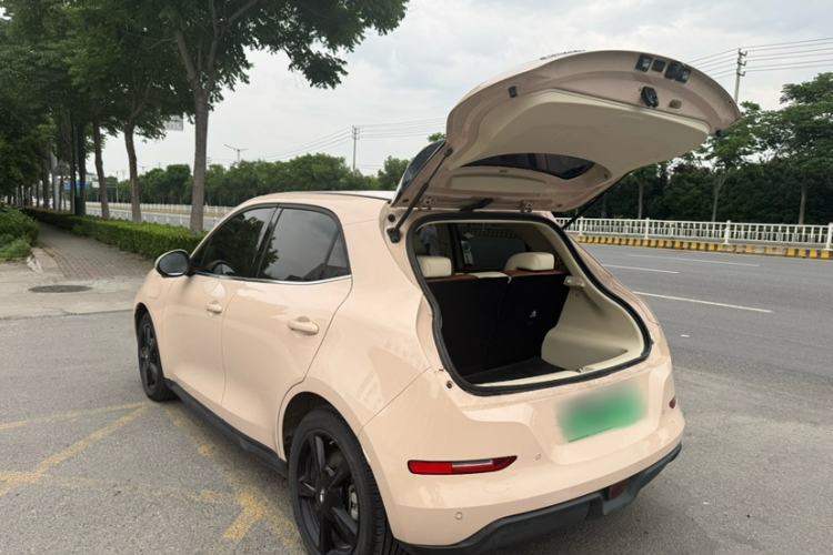 Used ORA Good Cat 2024 501 km Luxury Version Exterior 4