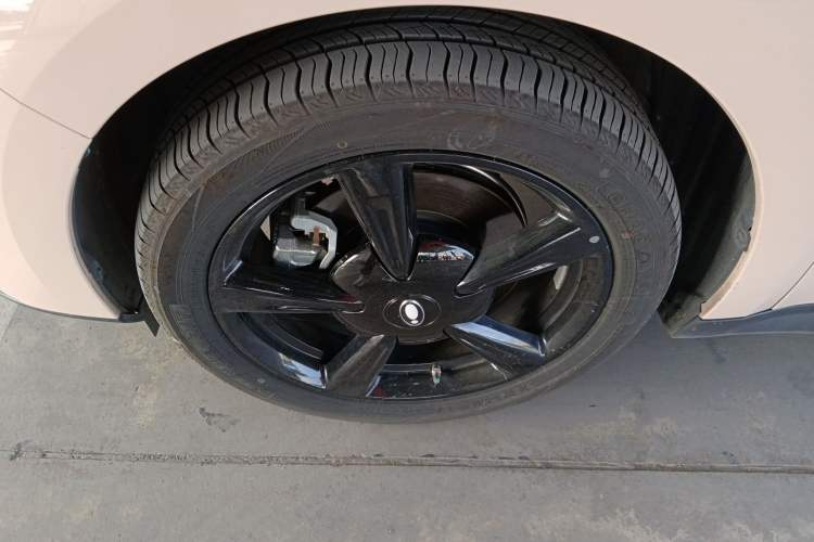 Used ORA Good Cat 2024 401 km Luxury Version Exterior 4