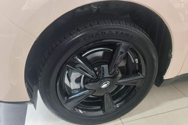 Used ORA Good Cat 2024 401 km Luxury Version Exterior 4