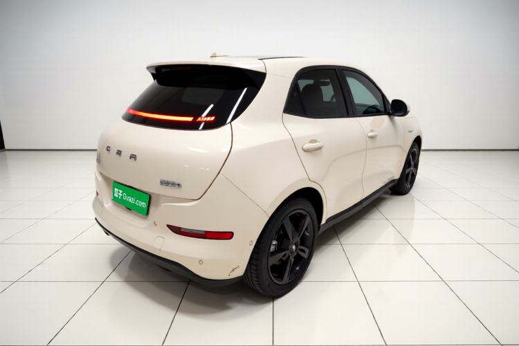 Used ORA Good Cat 2024 401 km Range Luxury Version 135 kW Exterior 5