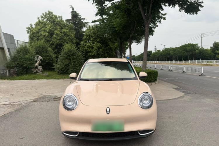 Used ORA Good Cat 2024 501 km Luxury Version Exterior 9
