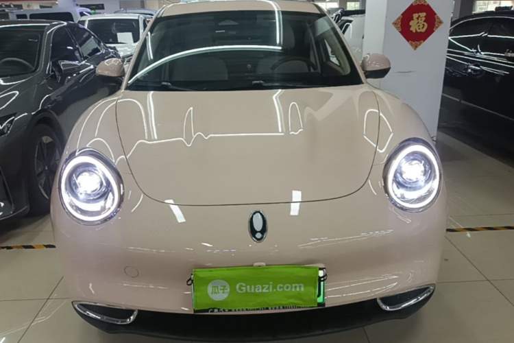 Used ORA Good Cat 2024 401 km Luxury Version Front