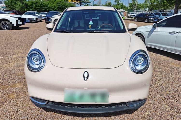 Used ORA Good Cat 2024 401 km Luxury Version Front