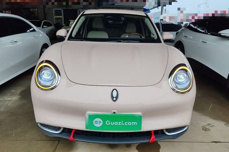 Used ORA Good Cat 2024 401 km Range Luxury Version 135 kW Front