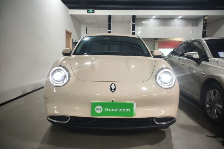 Used ORA Good Cat 2024 401 km Luxury Version Front