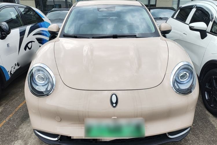 Used ORA Good Cat 2024 401 km Luxury Version Front