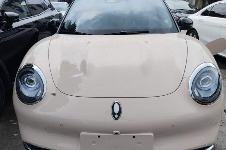 Used ORA Good Cat 2024 401 km Range Luxury Version 135 kW Front