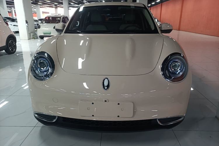 Used ORA Good Cat 2024 401 km Luxury Version Front