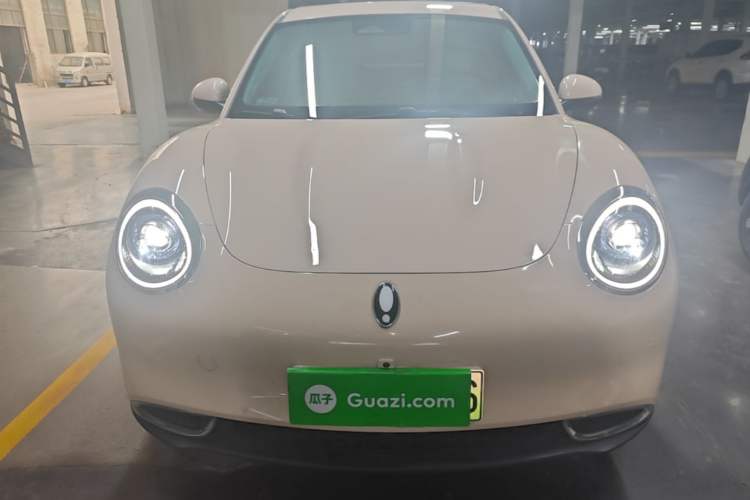 Used ORA Good Cat 2024 501 km Luxury Version Front