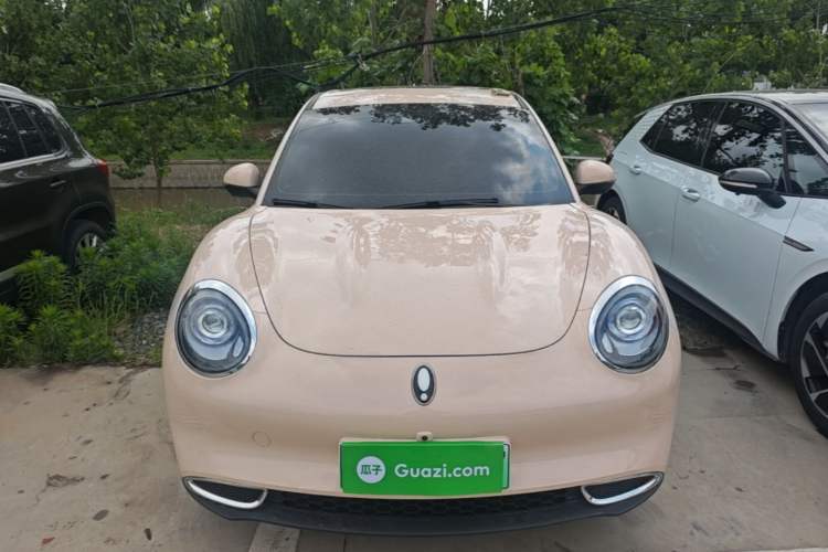 Used ORA Good Cat 2024 401 km Range Luxury Version 135 kW Front