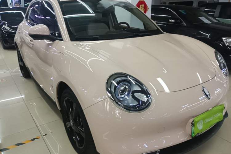 Used ORA Good Cat 2024 401 km Luxury Version Front Right 45 Deg