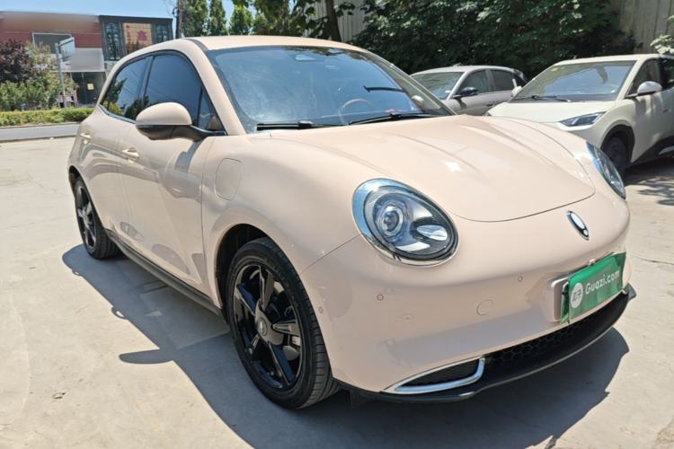 Used ORA Good Cat 2024 501 km Luxury Version Front Right 45 Deg