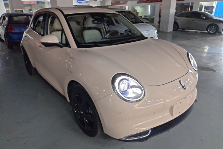 Used ORA Good Cat 2024 401 km Range Luxury Version 135 kW Front Right 45 Deg