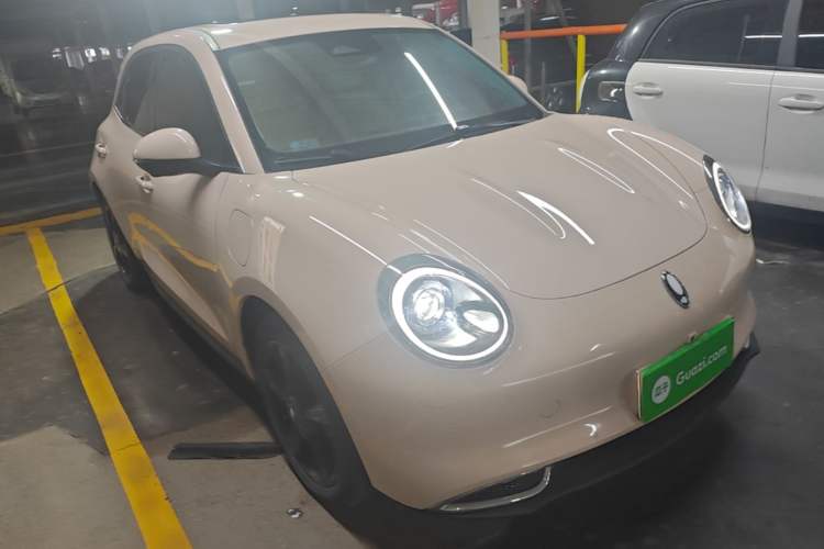 Used ORA Good Cat 2024 501 km Luxury Version Front Right 45 Deg