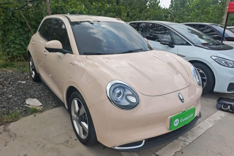 Used ORA Good Cat 2024 401 km Range Luxury Version 135 kW Front Right 45 Deg