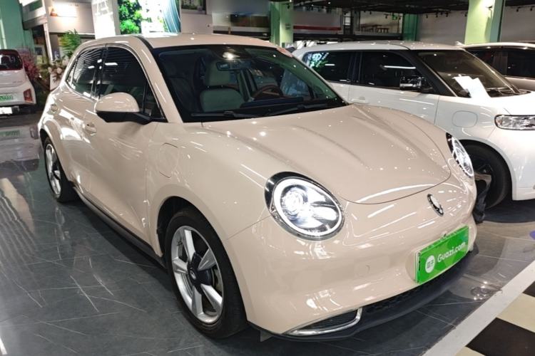Used ORA Good Cat 2024 501 km Luxury Version Front Right 45 Deg