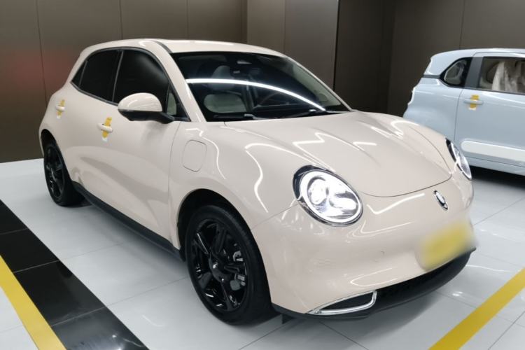Used ORA Good Cat 2024 401 km Luxury Version Front Right 45 Deg