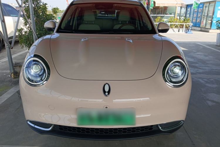 Used ORA Good Cat 2024 401 km Luxury Version Front