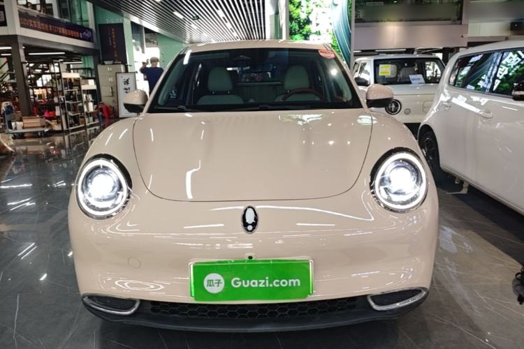 Used ORA Good Cat 2024 501 km Luxury Version Front