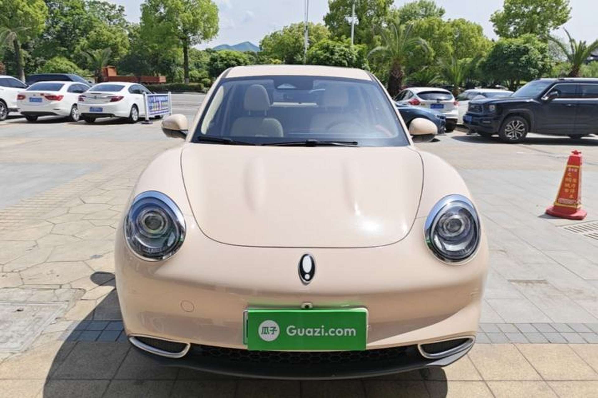 Used ORA Good Cat 2024 401 km Luxury Version Front