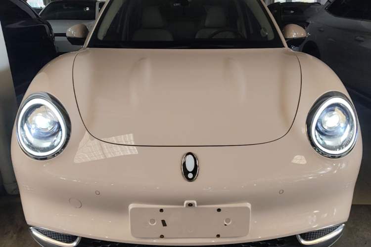 Used ORA Good Cat 2024 401 km Luxury Version 126 kW Front