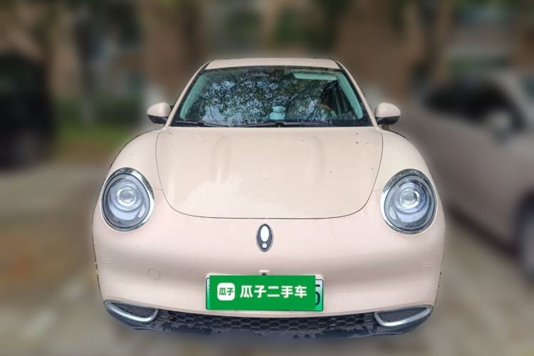 Used ORA Good Cat 2024 401 km Luxury Version Front