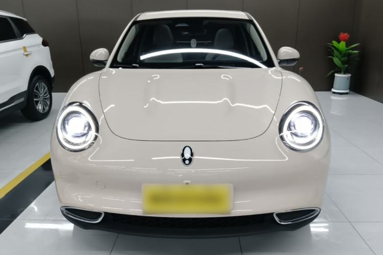 Used ORA Good Cat 2024 401 km Luxury Version Front