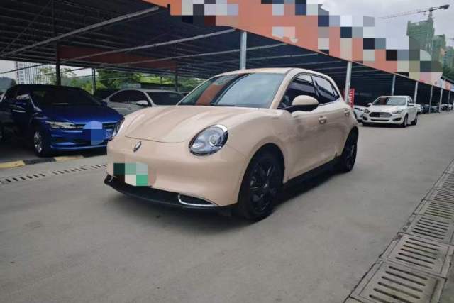 Used ORA Good Cat 2024 401 km Range Luxury Version 135 kW