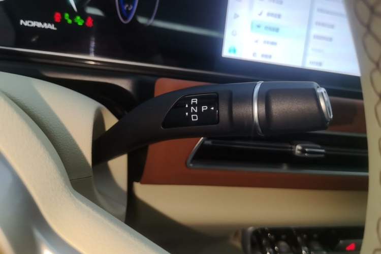 Used ORA Good Cat 2024 401 km Range Luxury Version 135 kW Gear Lever