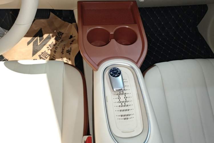 Used ORA Good Cat 2024 501 km Luxury Version Gear Lever
