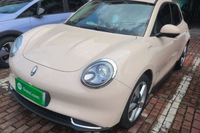 Used ORA Good Cat 2024 401 km Range Luxury Version 135 kW