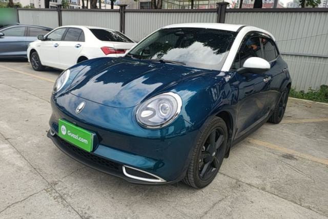 Used ORA Good Cat 2024 501 km Luxury Version