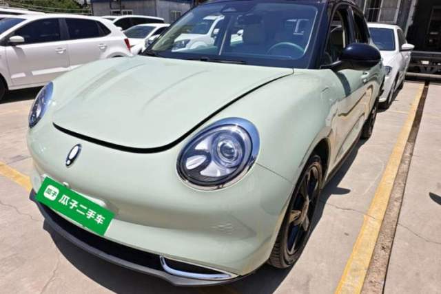 Used ORA Good Cat 2024 401 km Luxury Version