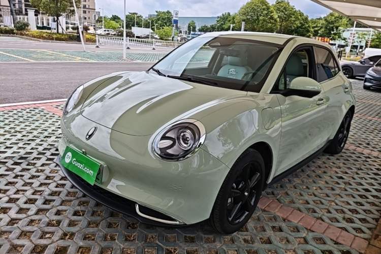 Used ORA Good Cat 2024 401 km Luxury Version Guazi used car, China used car export, Used car for sale, Used  cars, Cheapest cars for sale