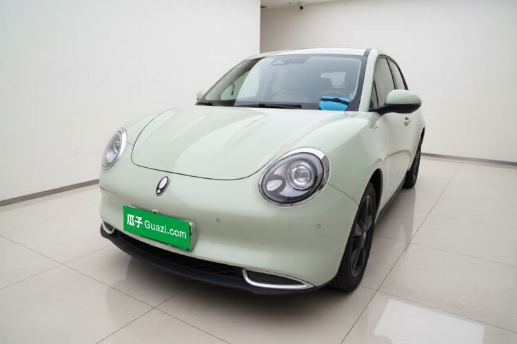 Ojetý ORA Good Cat 2024 401 km Range Luxury Version 135 kW Guazi used car, China used car export, Used car for sale, Used  cars, Cheapest cars for sale