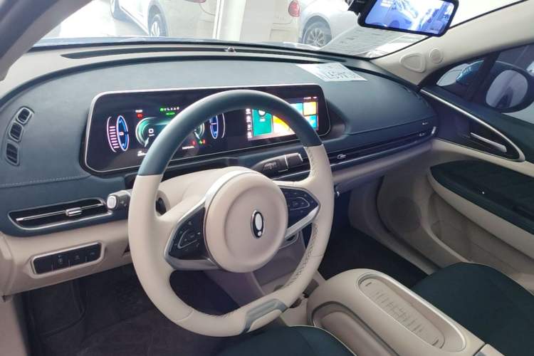 Used ORA Good Cat 2024 401 km Luxury Version Center Console