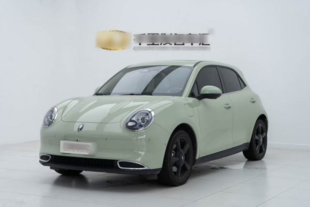 Used ORA Good Cat 2024 501 km Luxury Version