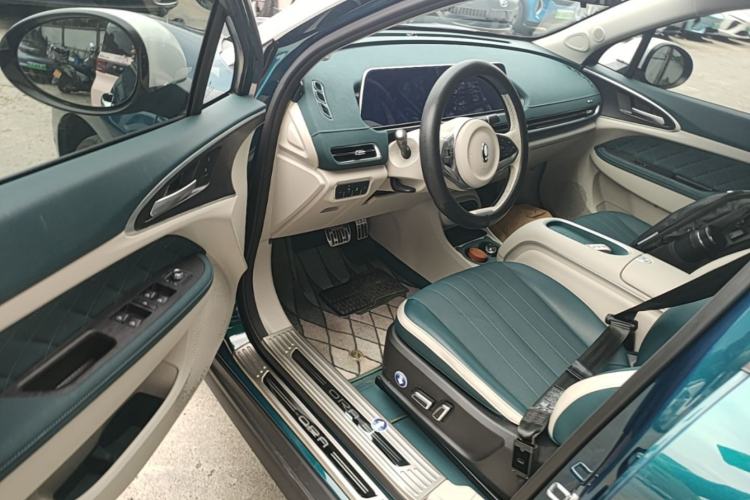 Used ORA Good Cat 2024 501 km Luxury Version Driver Seat