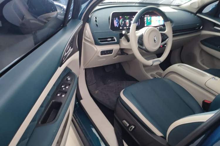 Used ORA Good Cat 2024 401 km Luxury Version Driver Seat