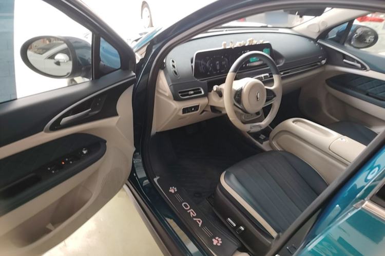 Used ORA Good Cat 2024 501 km Luxury Version Driver Seat
