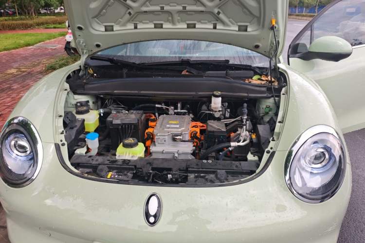Used ORA Good Cat 2024 401 km Luxury Version Engine Bay