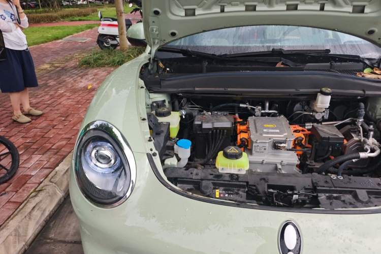 Used ORA Good Cat 2024 401 km Luxury Version Engine Bay Right